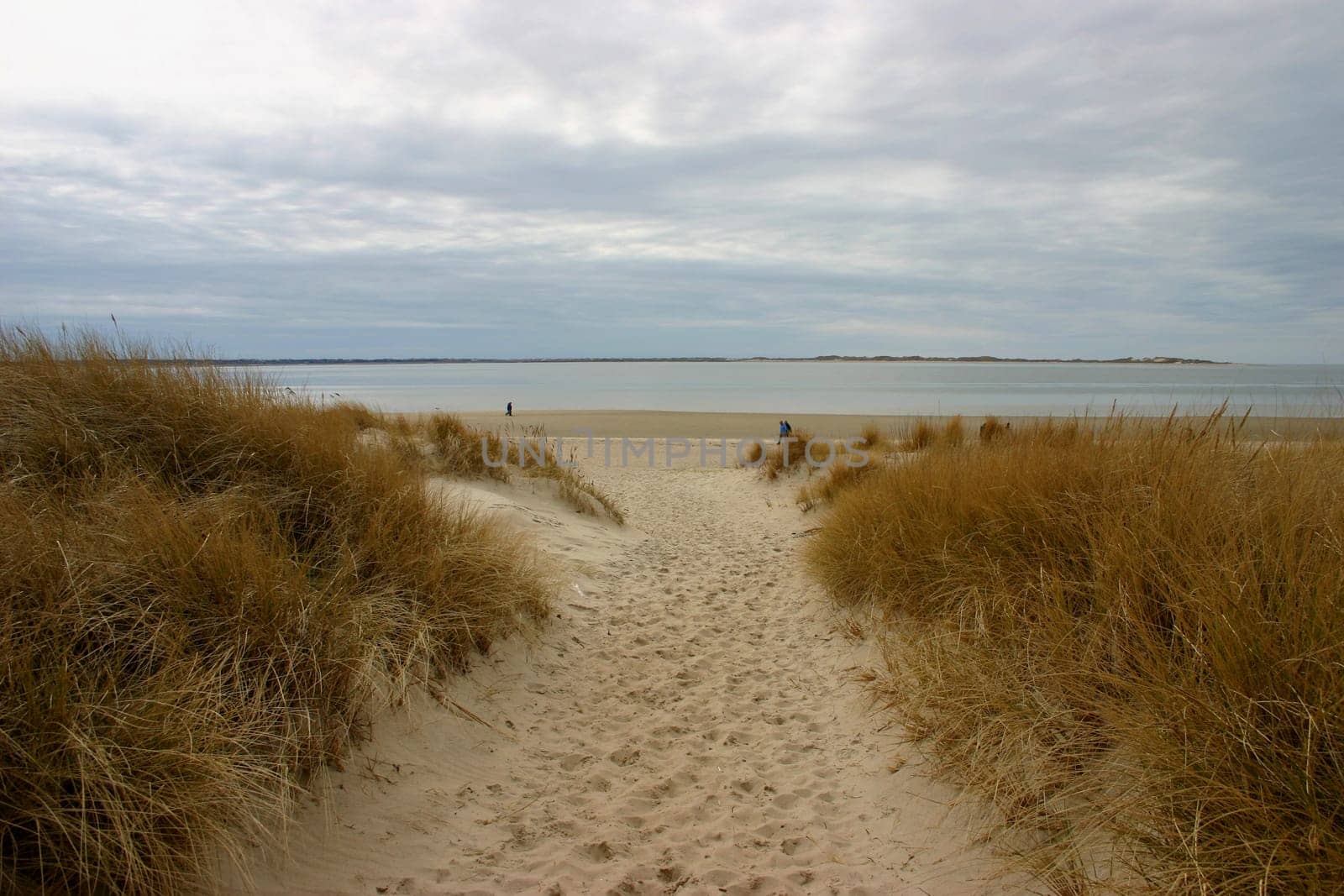 ... in April on the island of Föhr. (The island of Amrum can be seen in the background.)