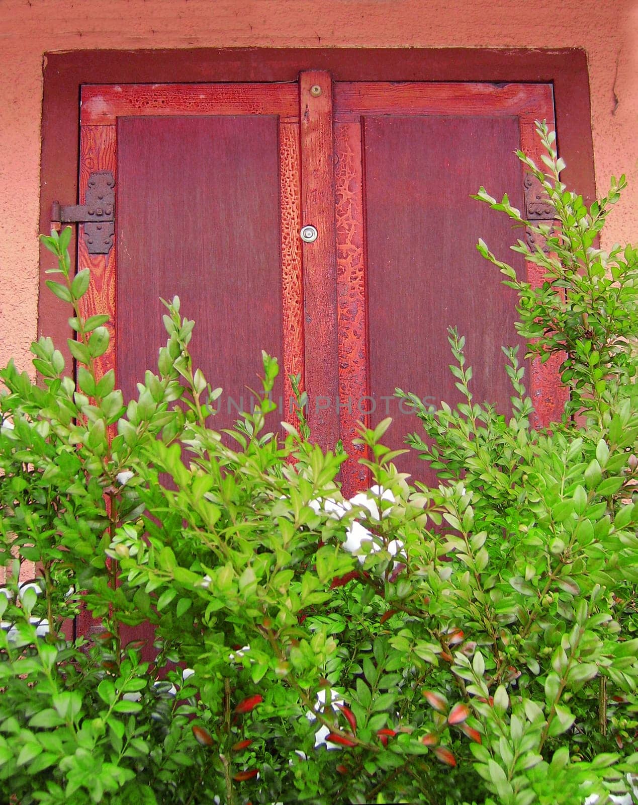 Hidden window