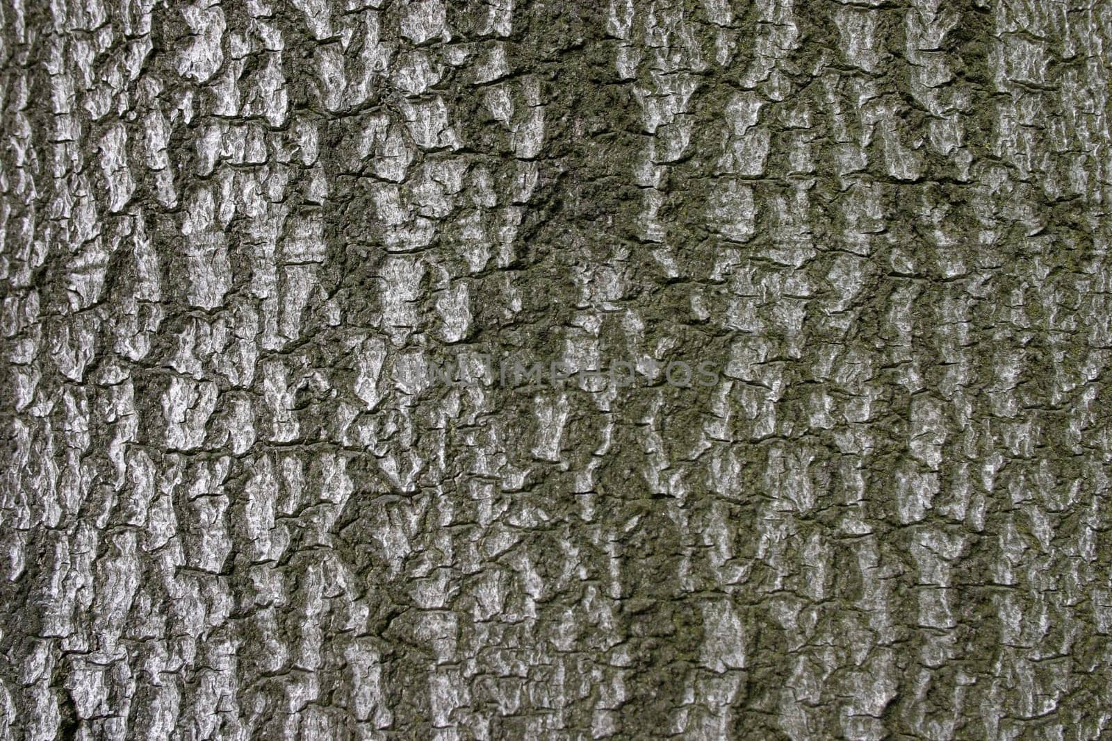 Natural background