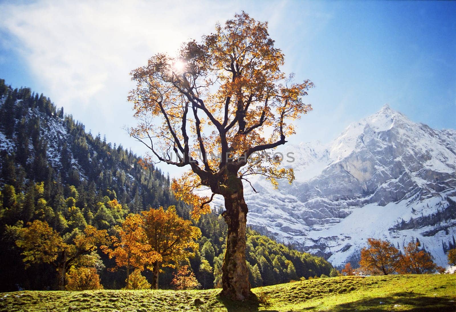 Autumn on the large Ahornboden in the Karwendel.  Scan of the Agfa Optima 200 3D negative film.