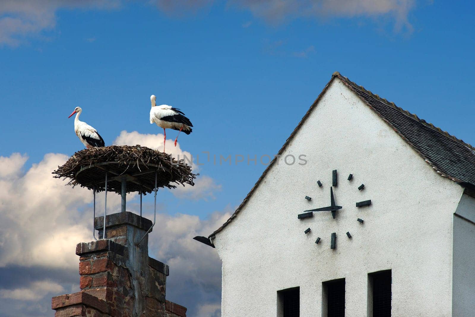 Stork's nest in front of a building with a wall clock Population policy shortly before 12