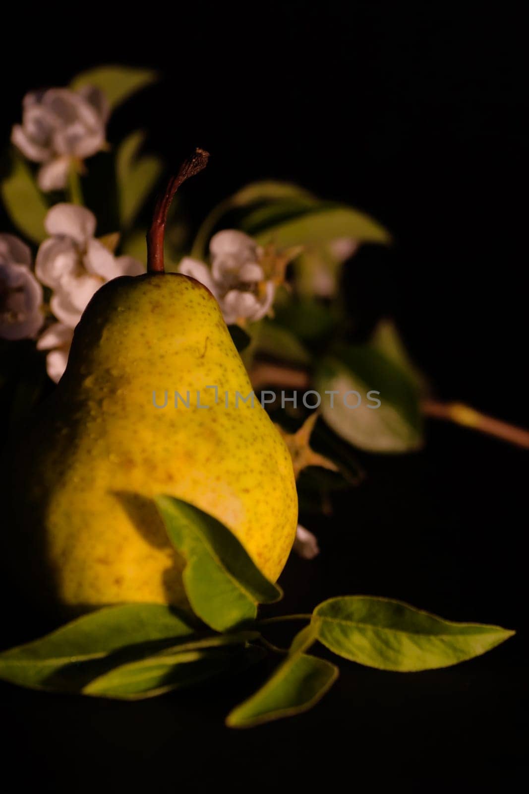 Pear with flowers in the background