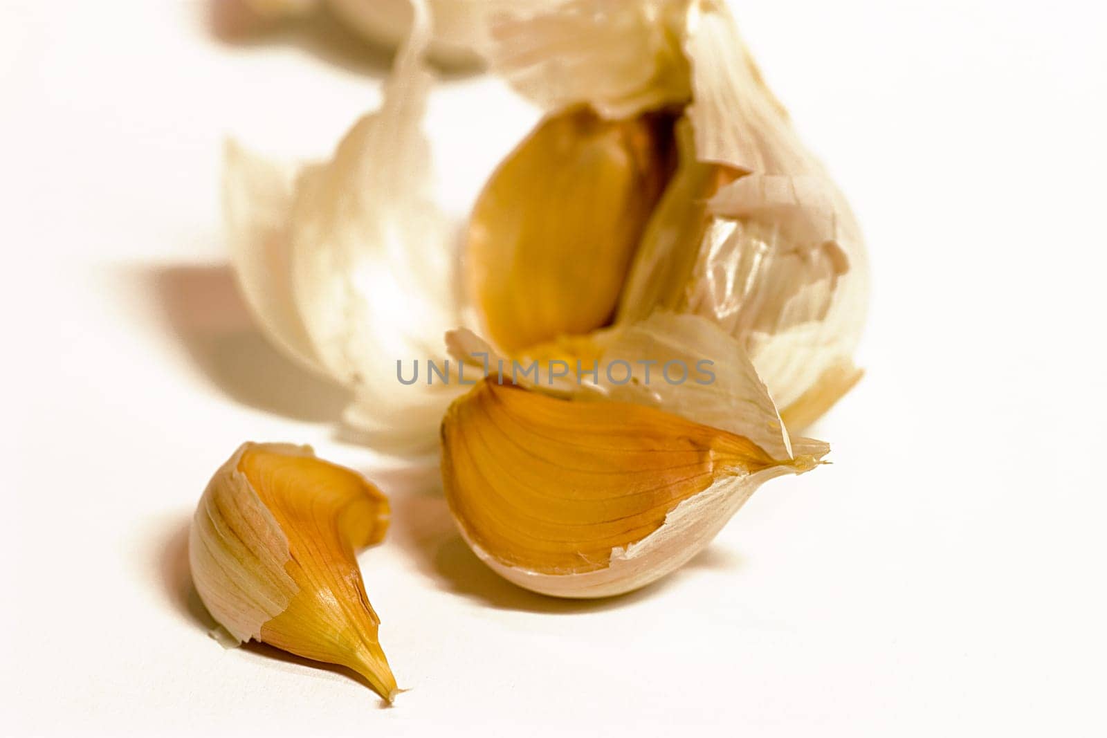 Garlic