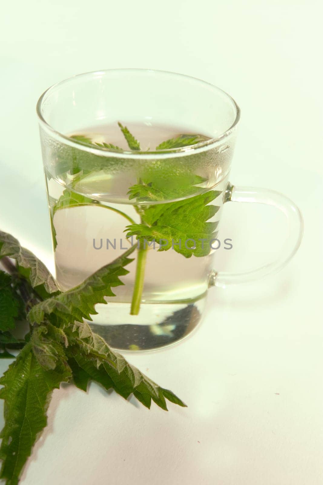 Nettle tea