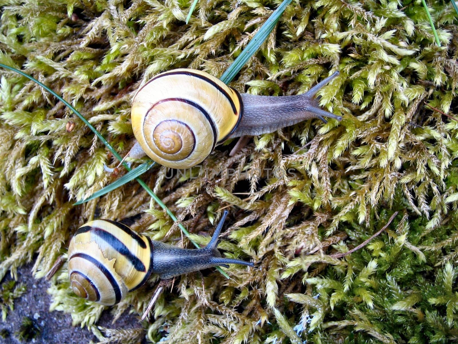 side by side