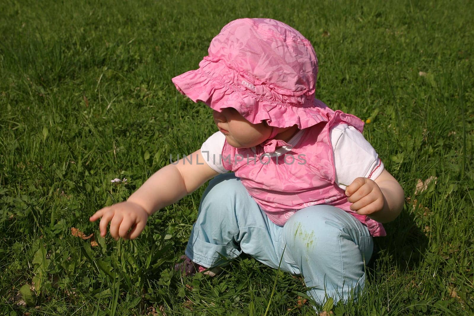 In the grass
