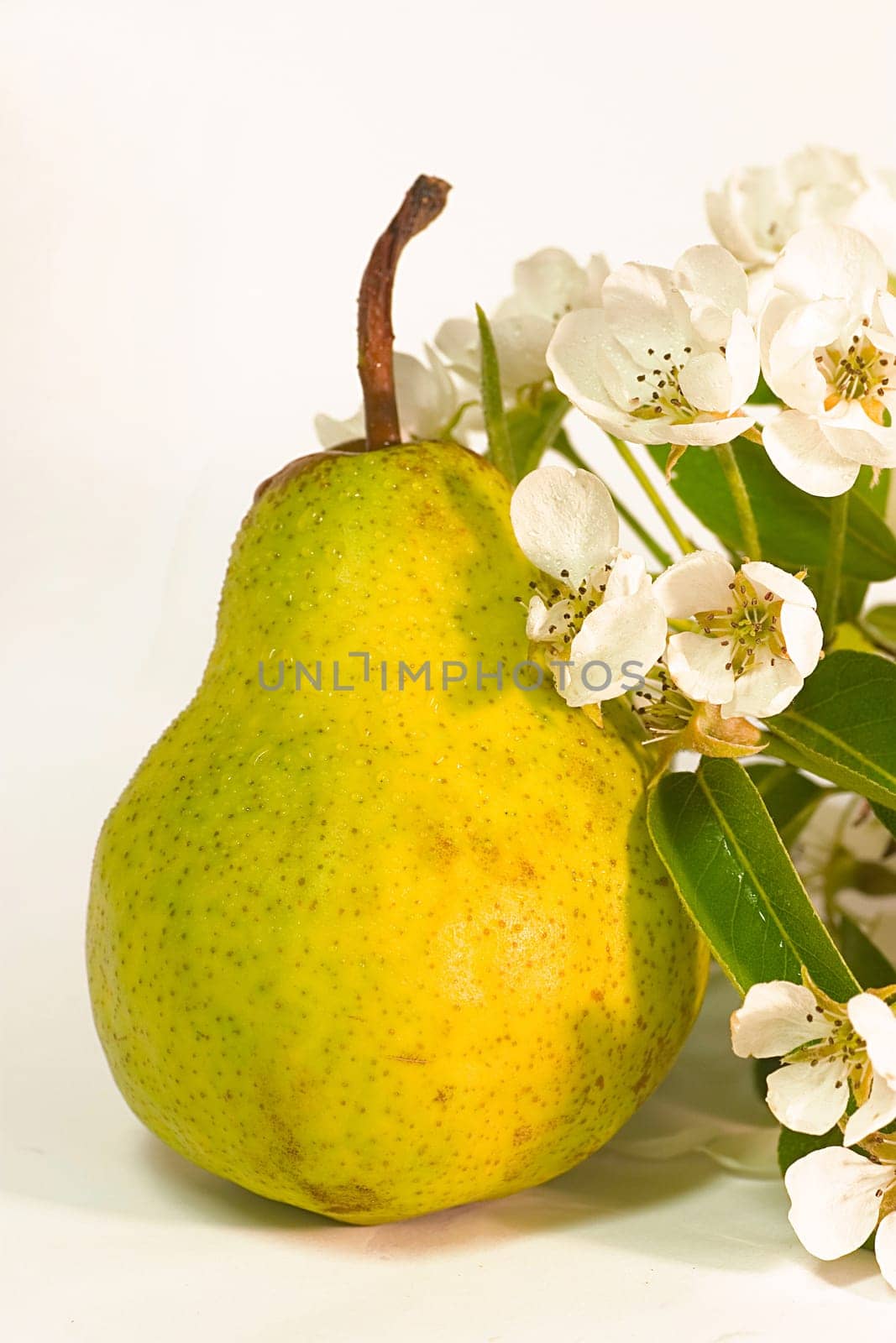 Pear