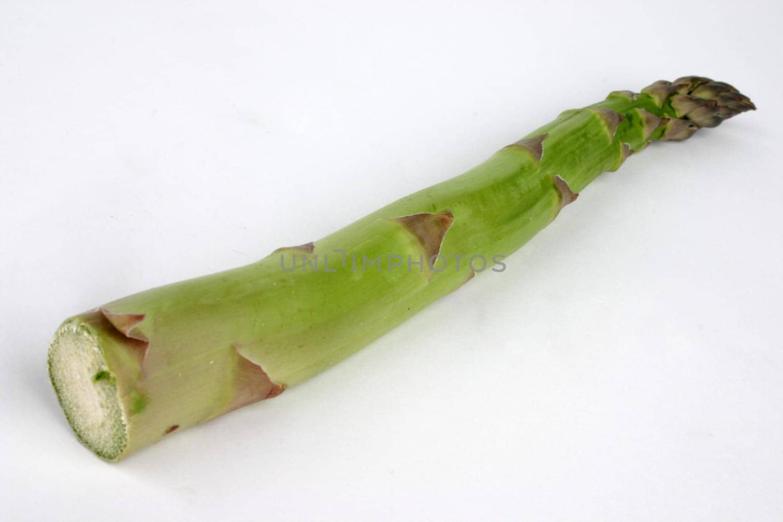 Asparagus Green