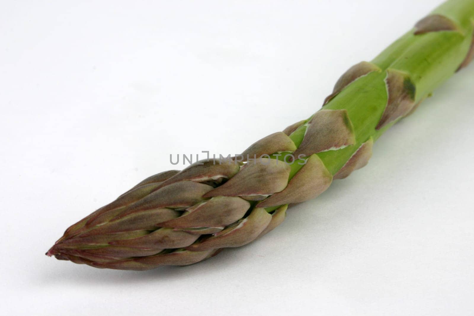 Asparagus Green