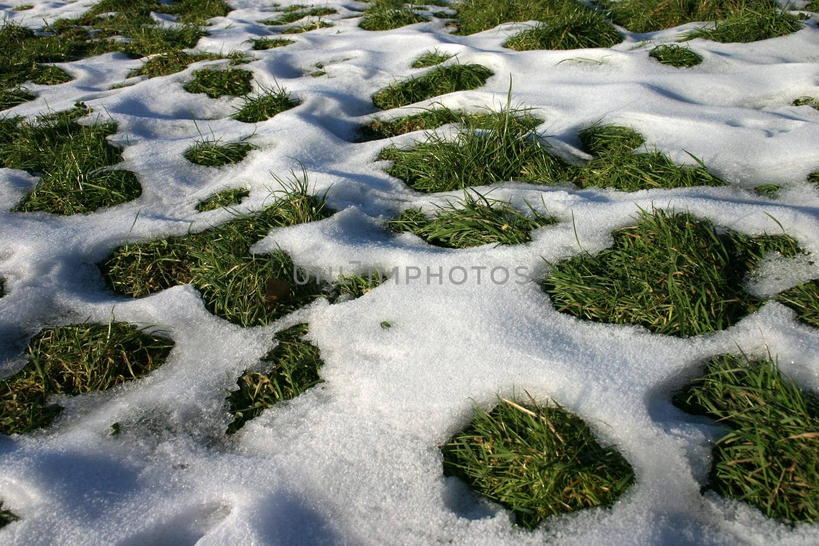 Remnants of snow in a meadow
