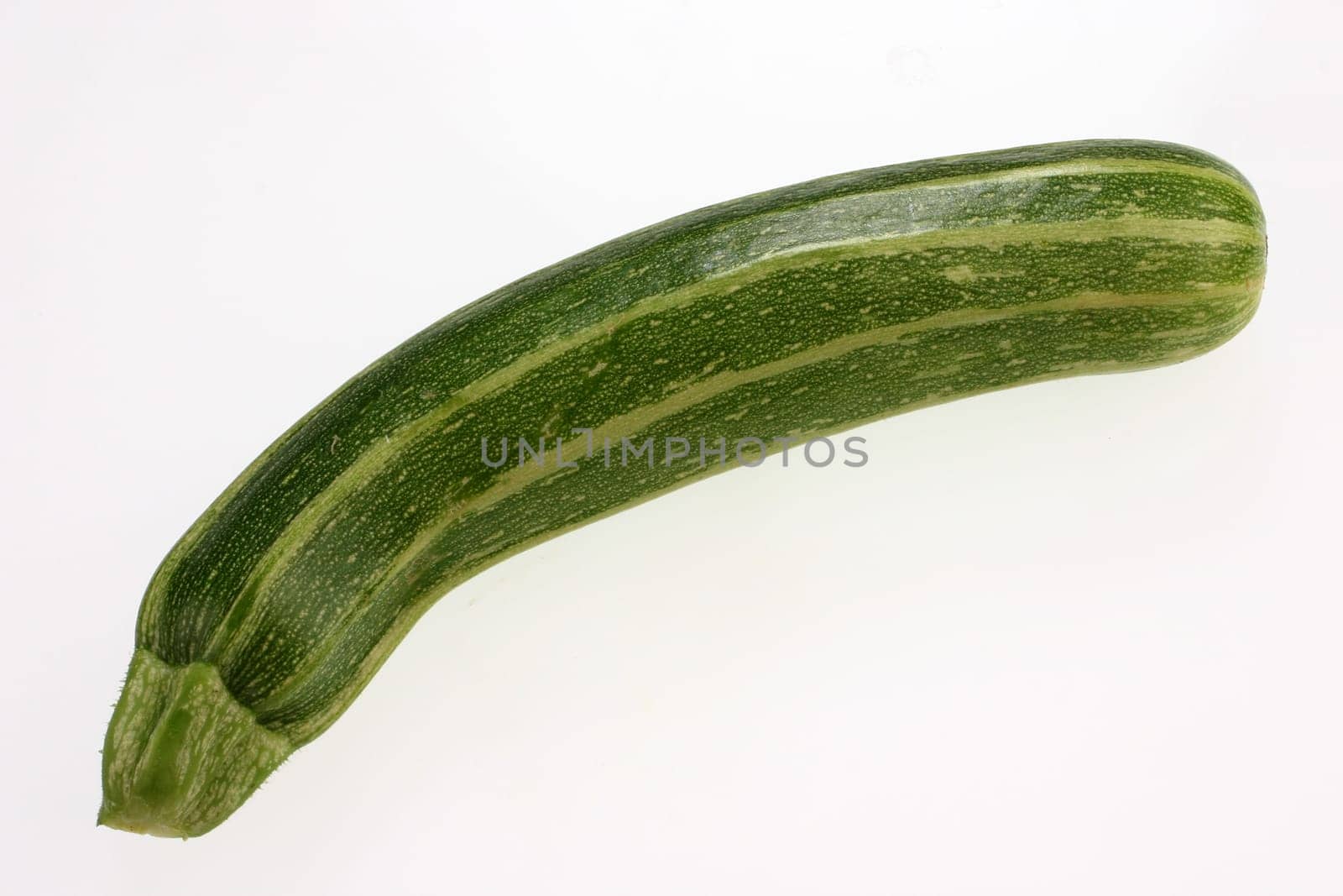 Zuchini Zuccini