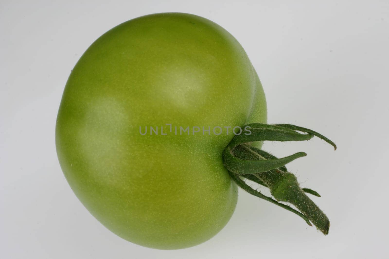 Tomatoes Tomato