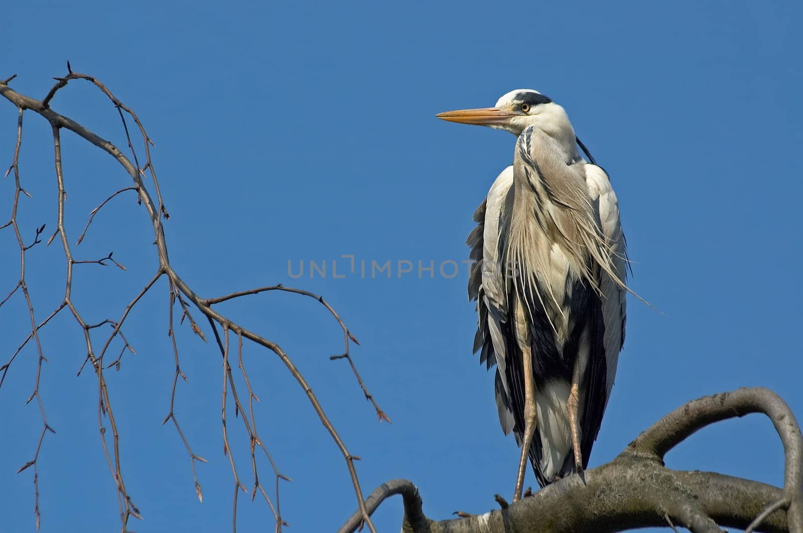 Keeping an eye out (2)