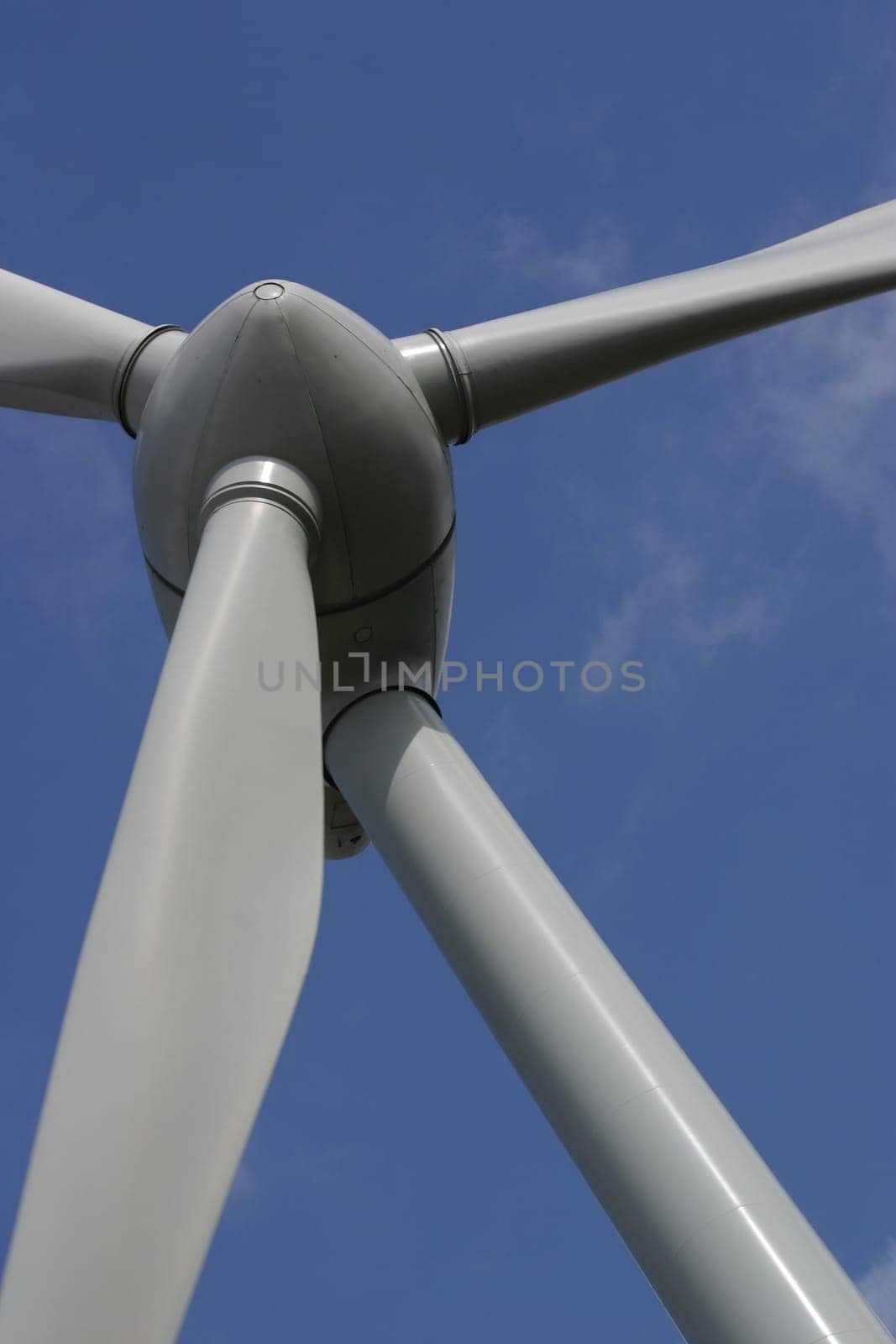 Rotor of a wind turbine