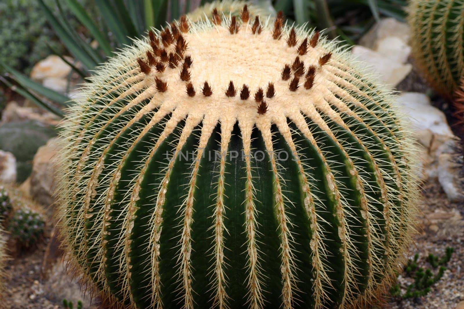 Reproduction