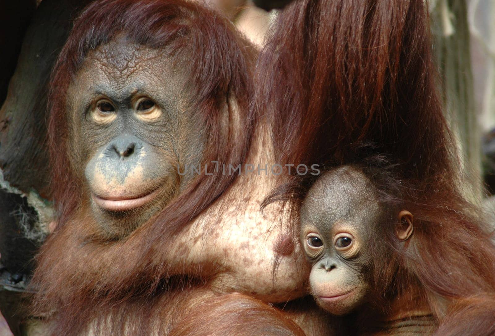 Proud mother