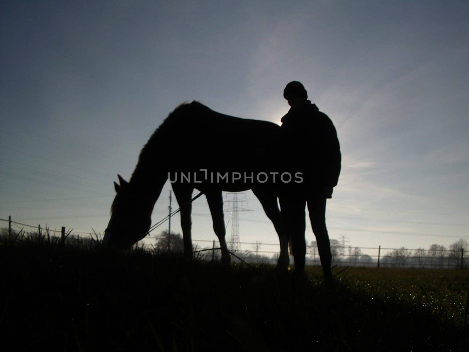 Horse and rider in the sunset