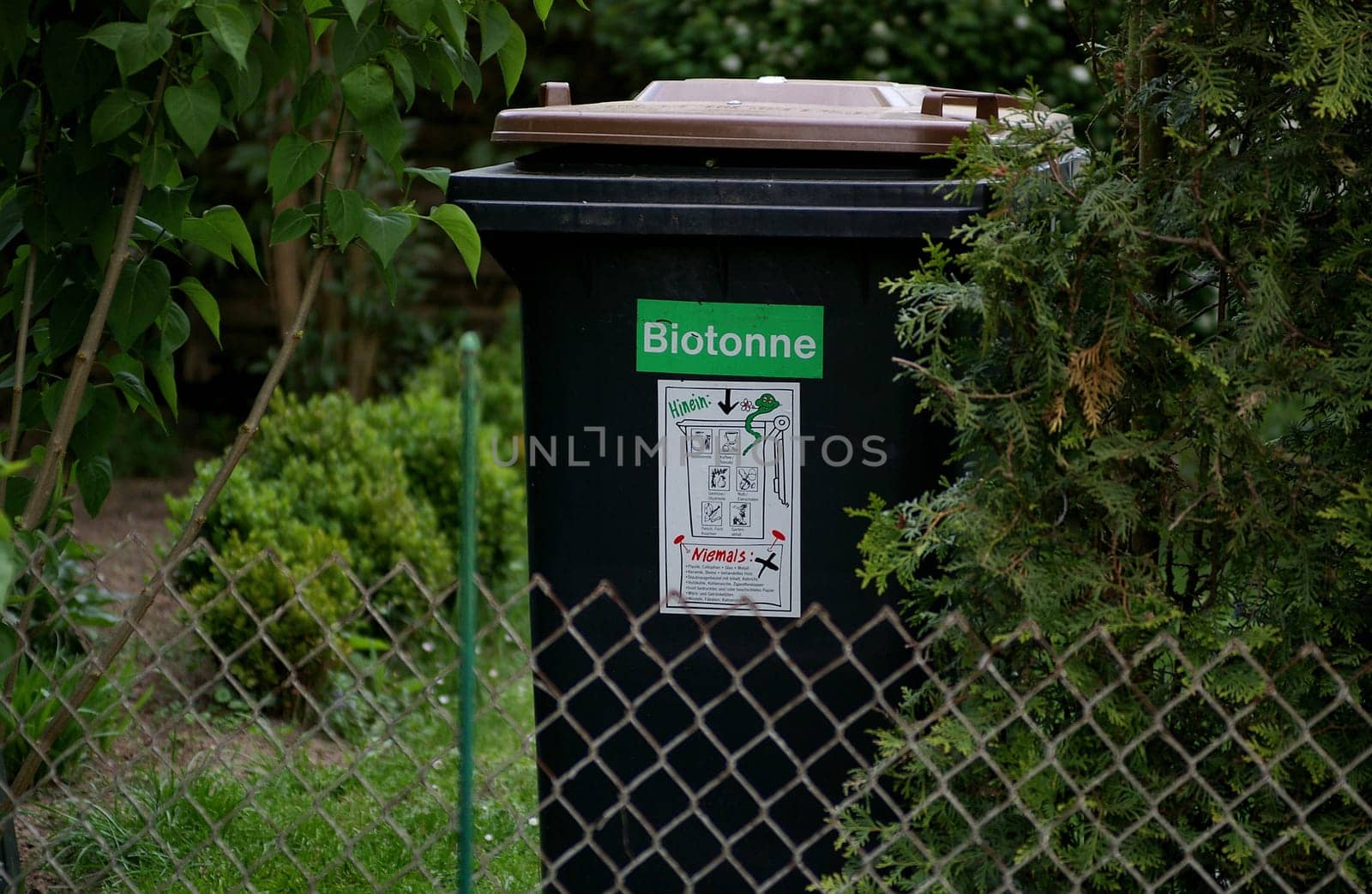 Organic waste bin