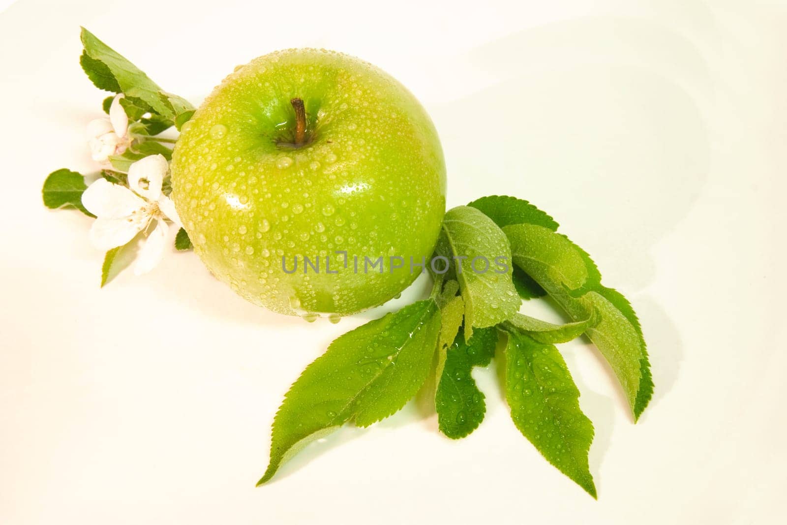 Apple with foliage from above