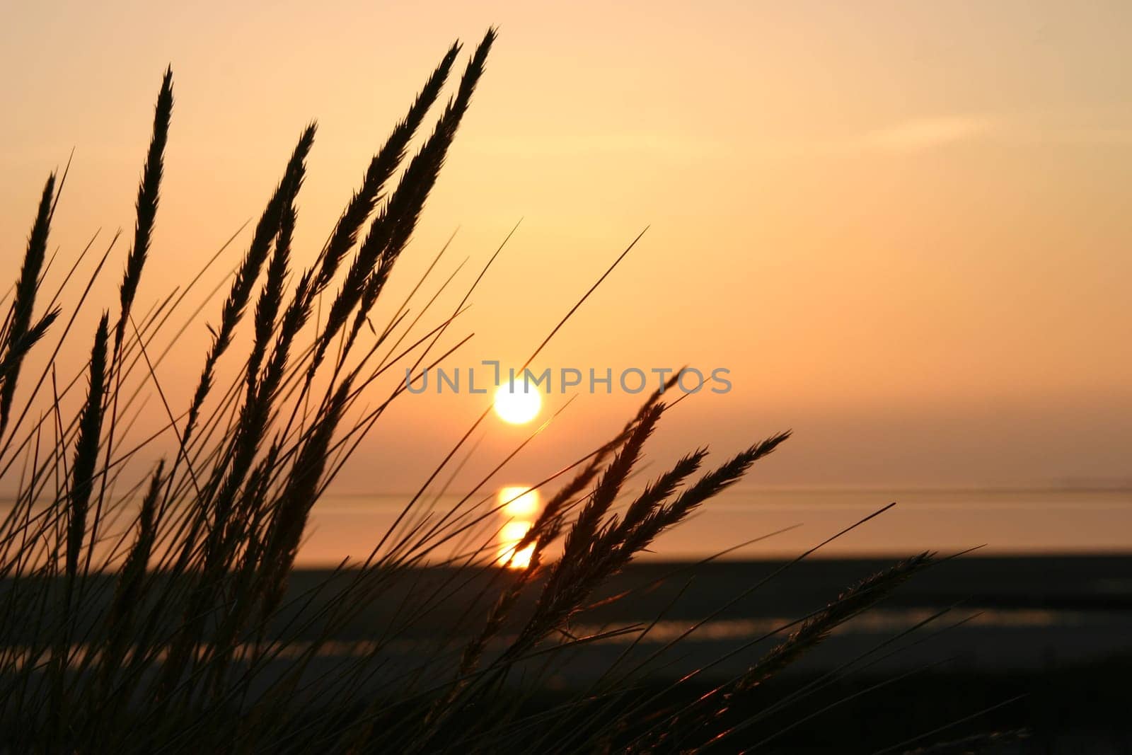 ... on the island of Föhr.
