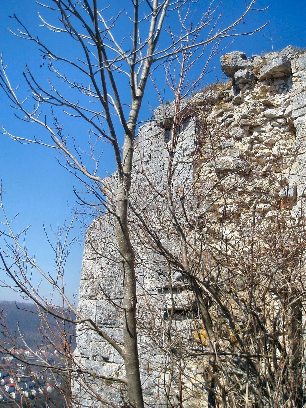 At the castle