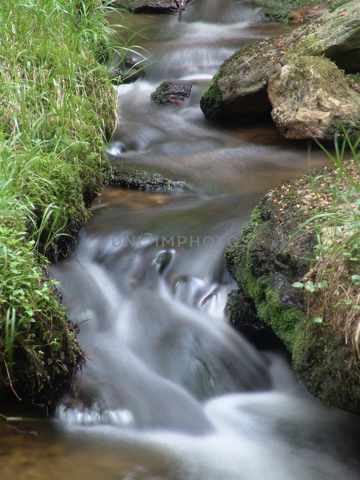 Torrent in the Upper Palatinate Forest (Bavaria)
