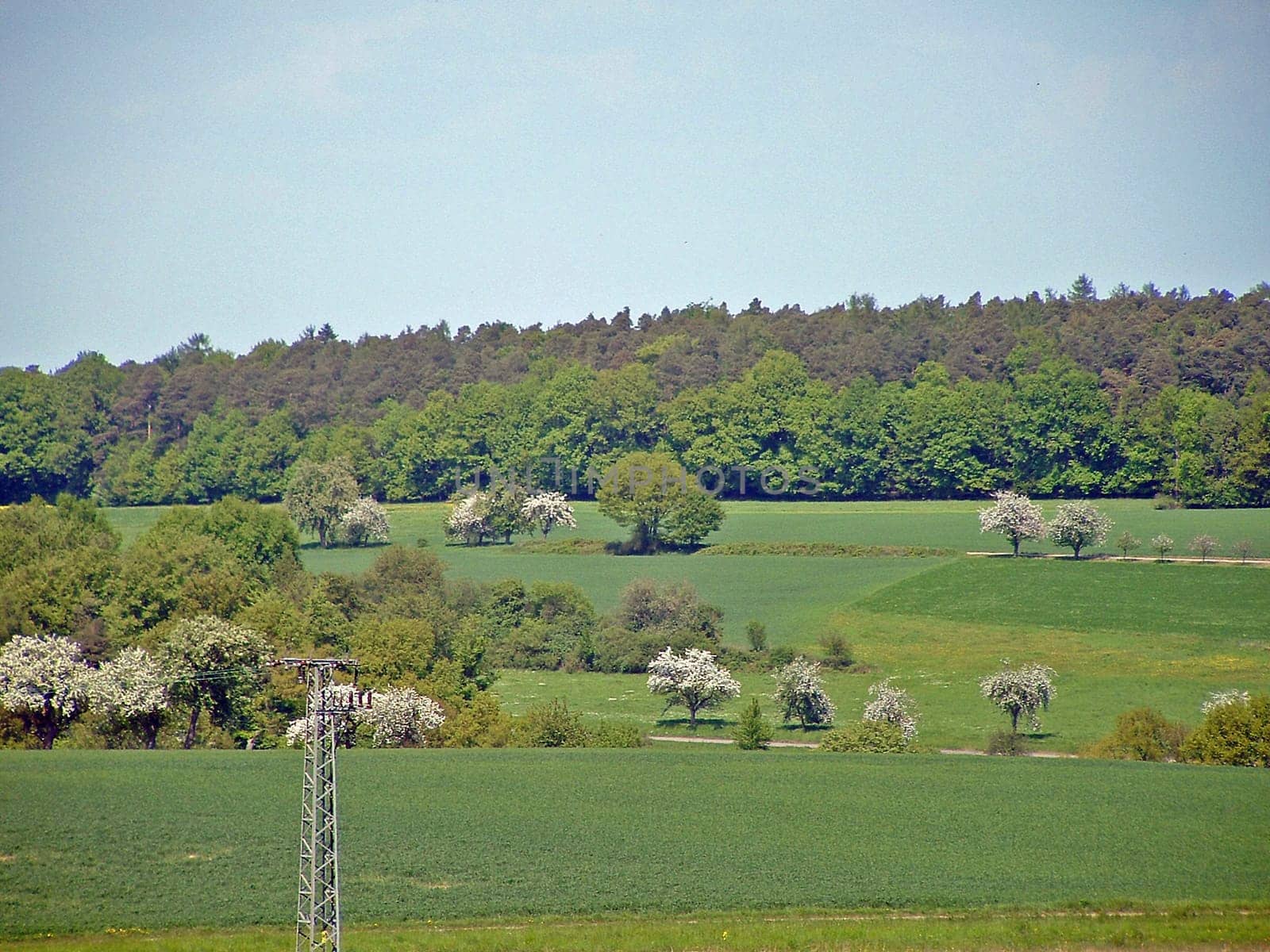 Odenwald