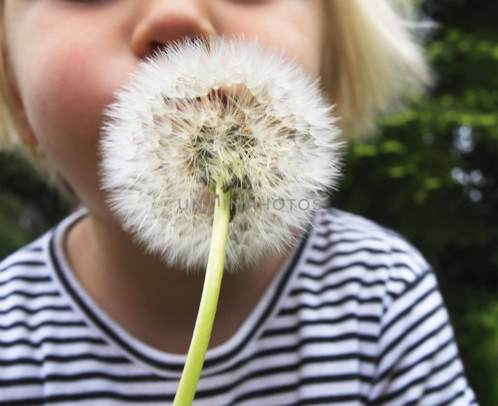 The fun of every child