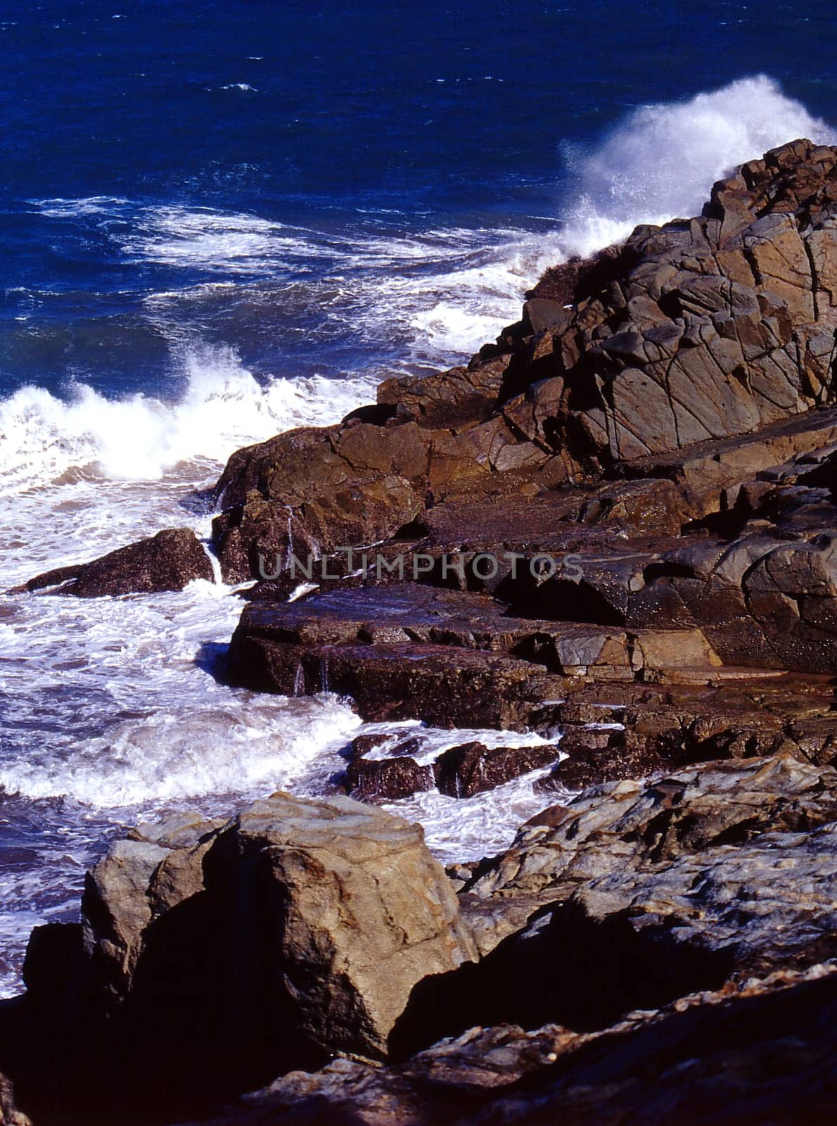 Scan from slide