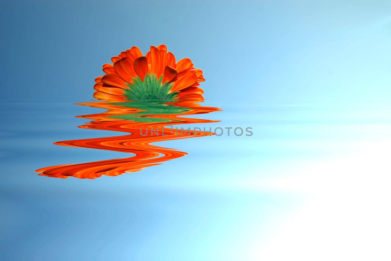 Flood filters and lighting effects. Saturation and contrast are enhanced.