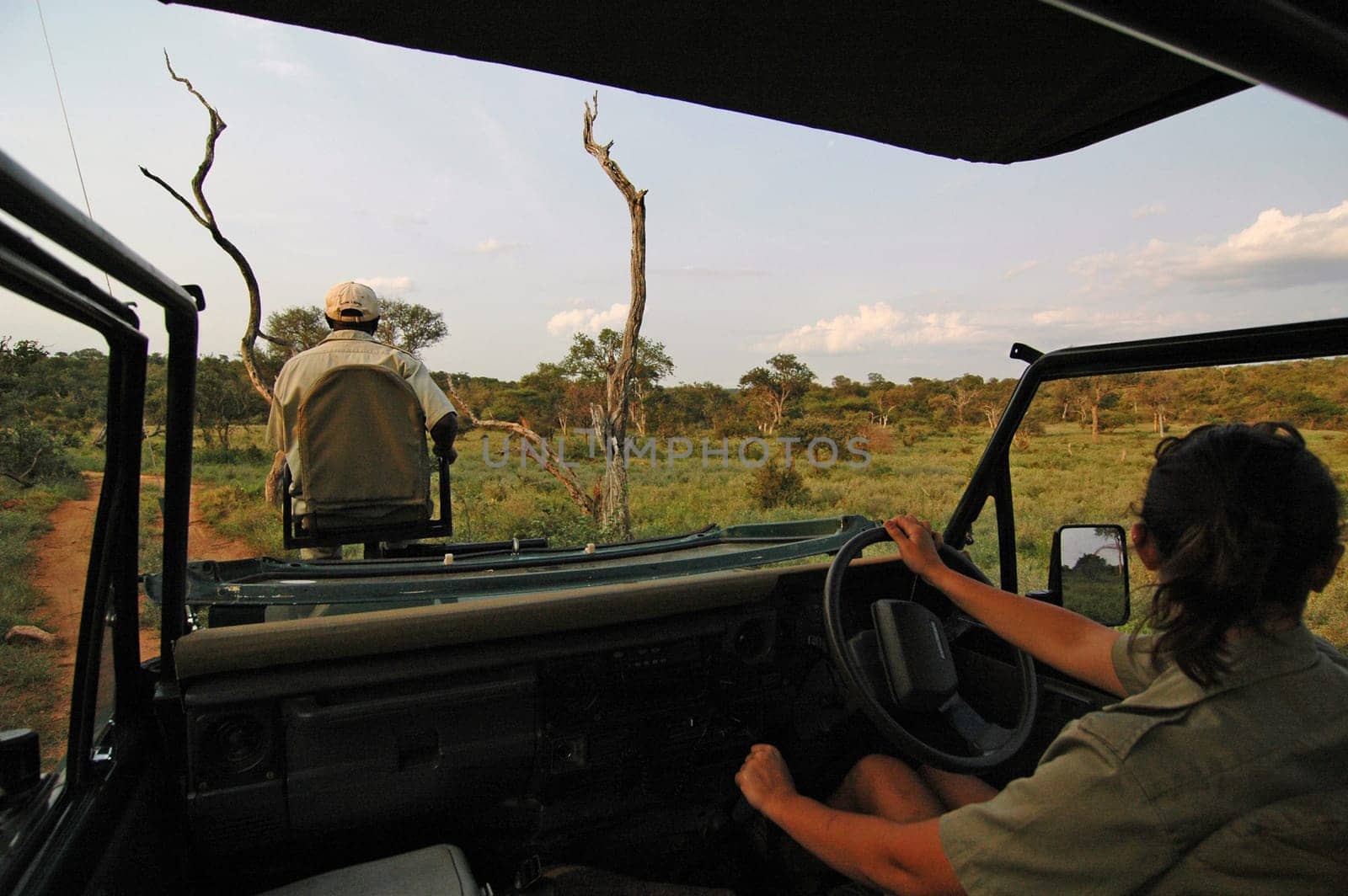 Safari tour
