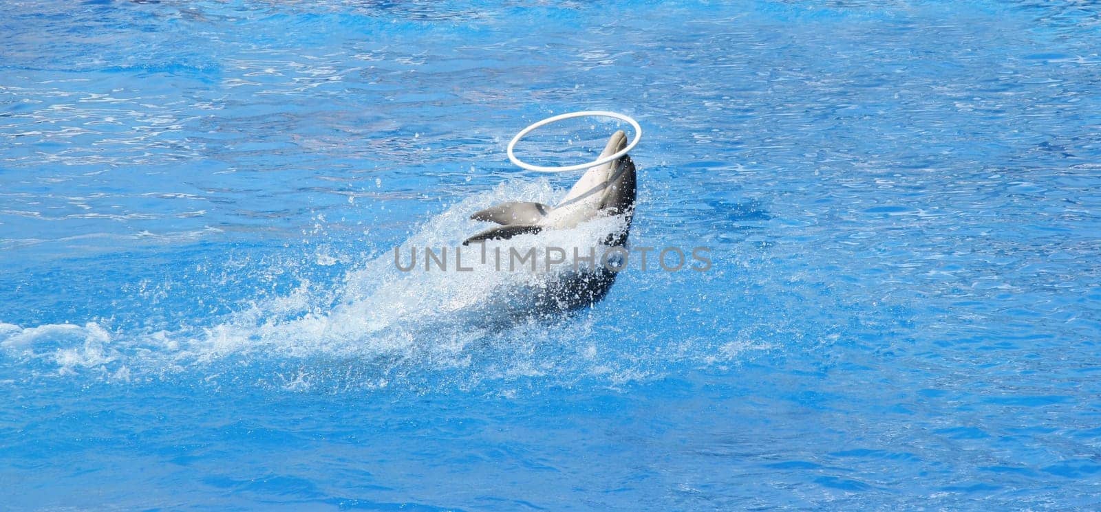 Acrobat