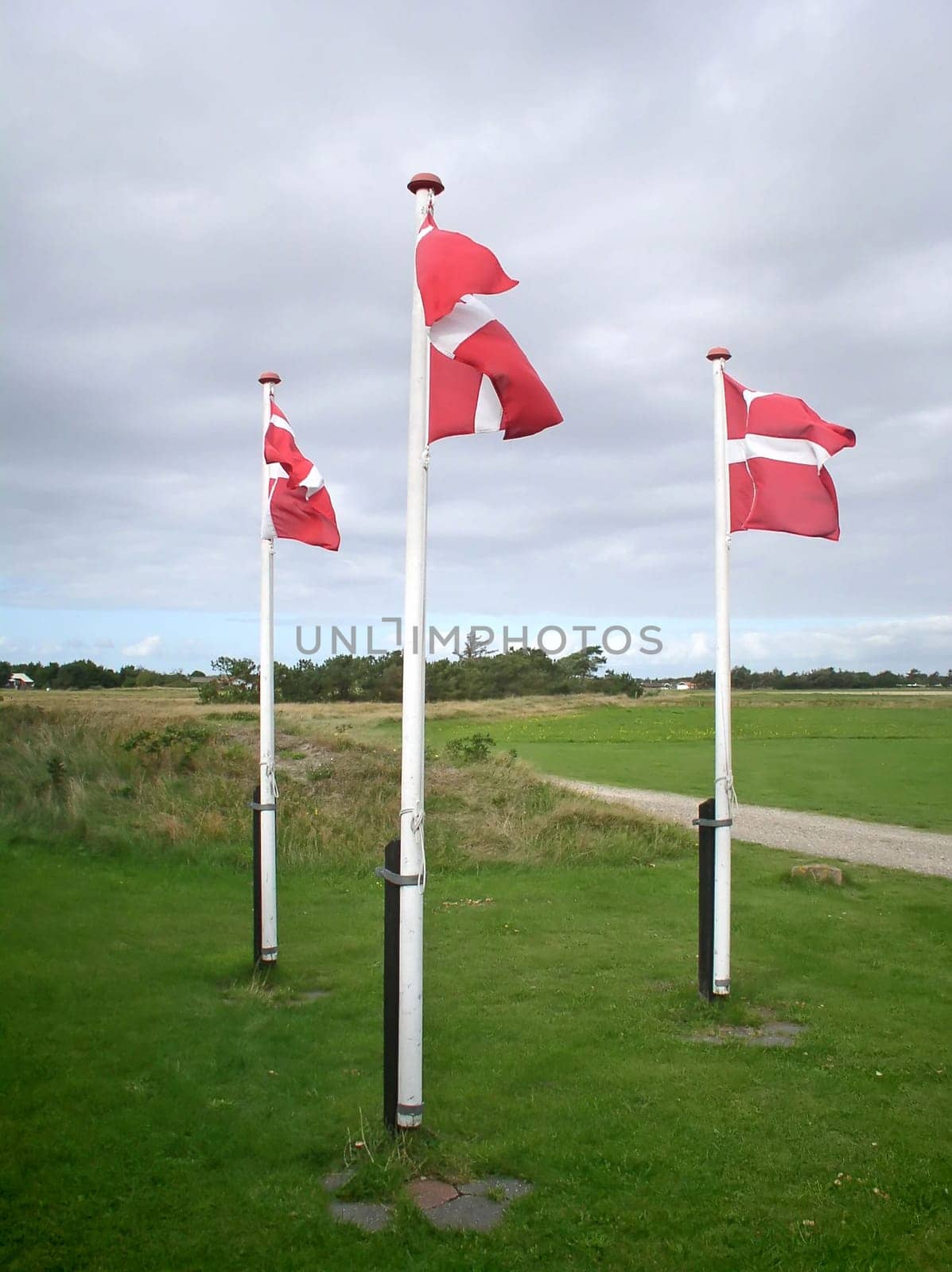 Waving flags