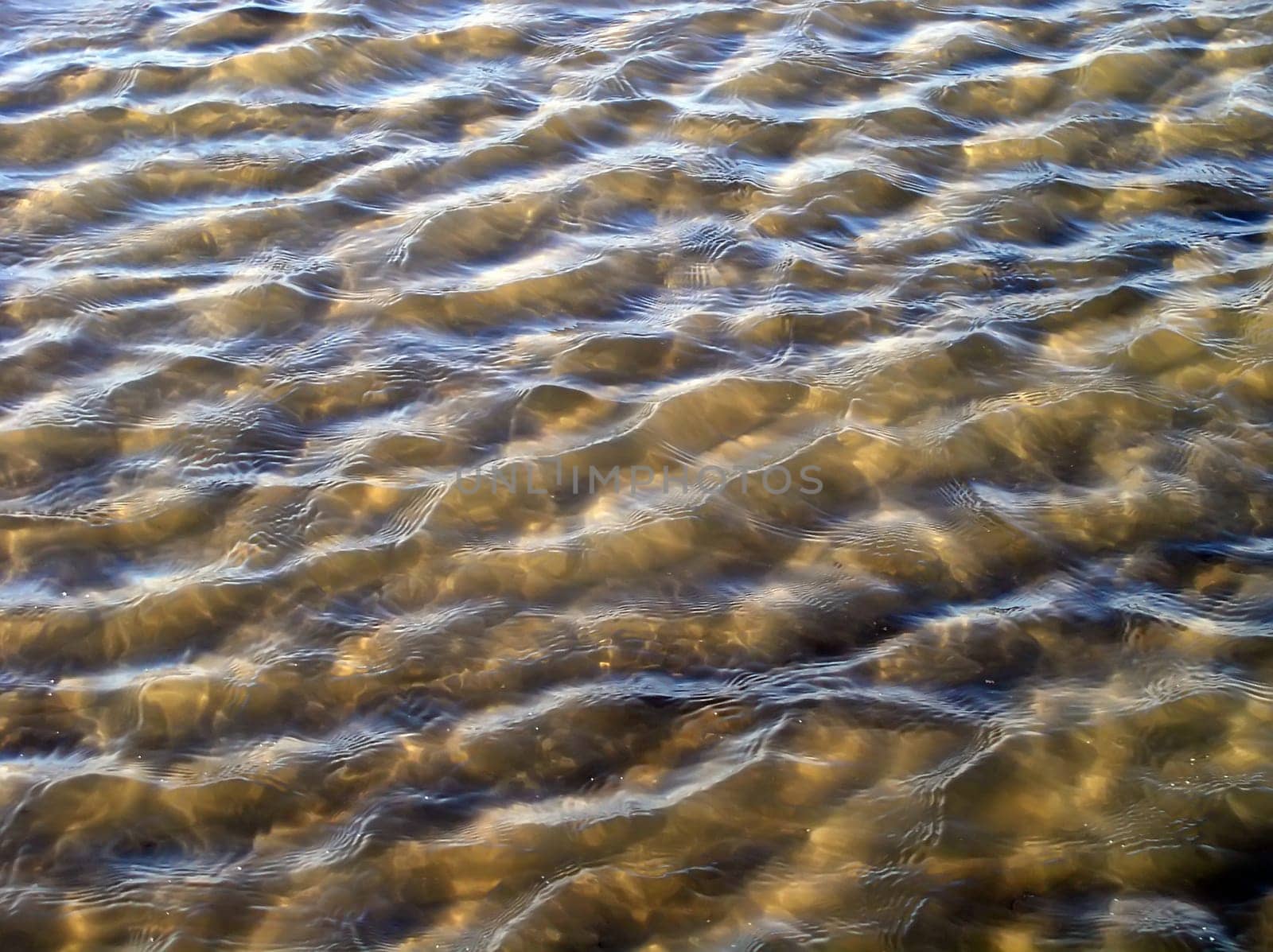 Waves
