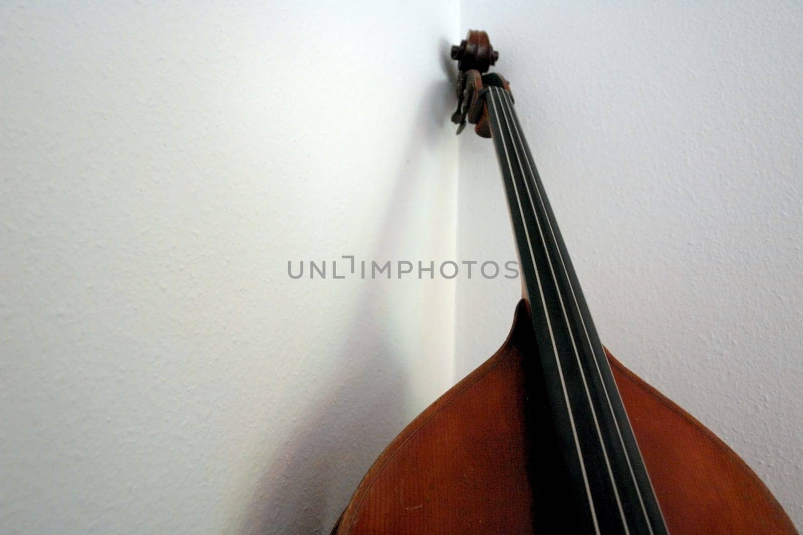 Bass1