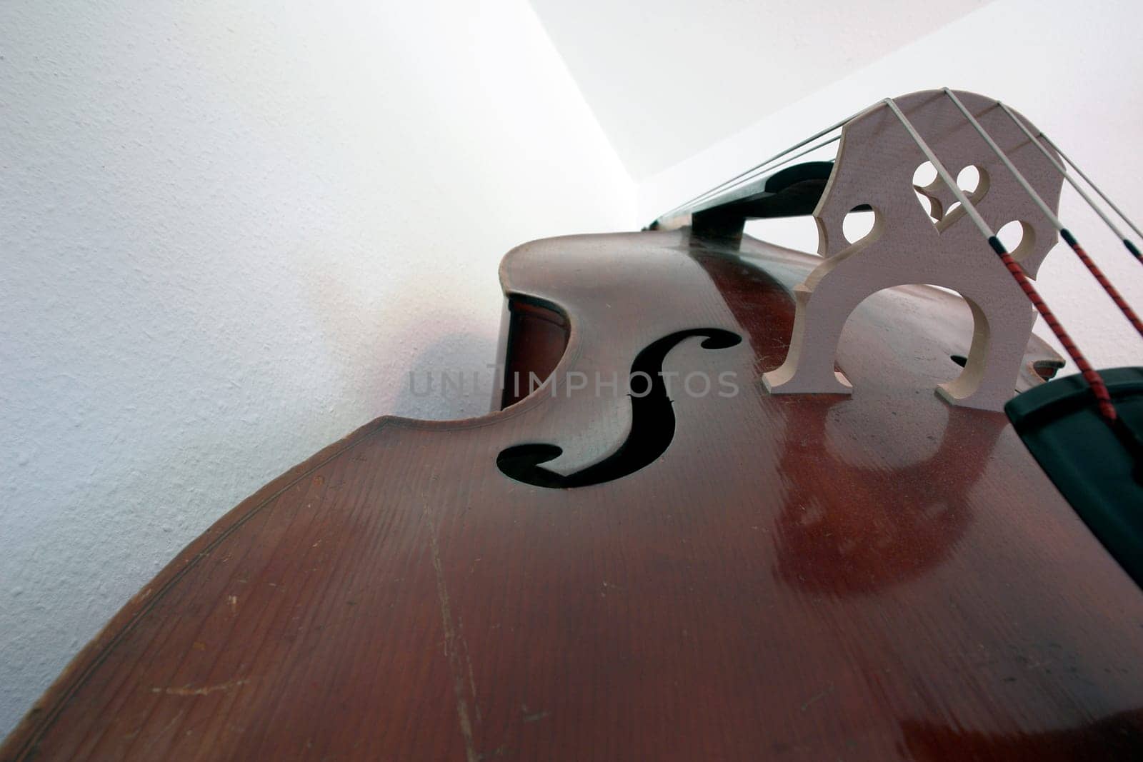 Bass6