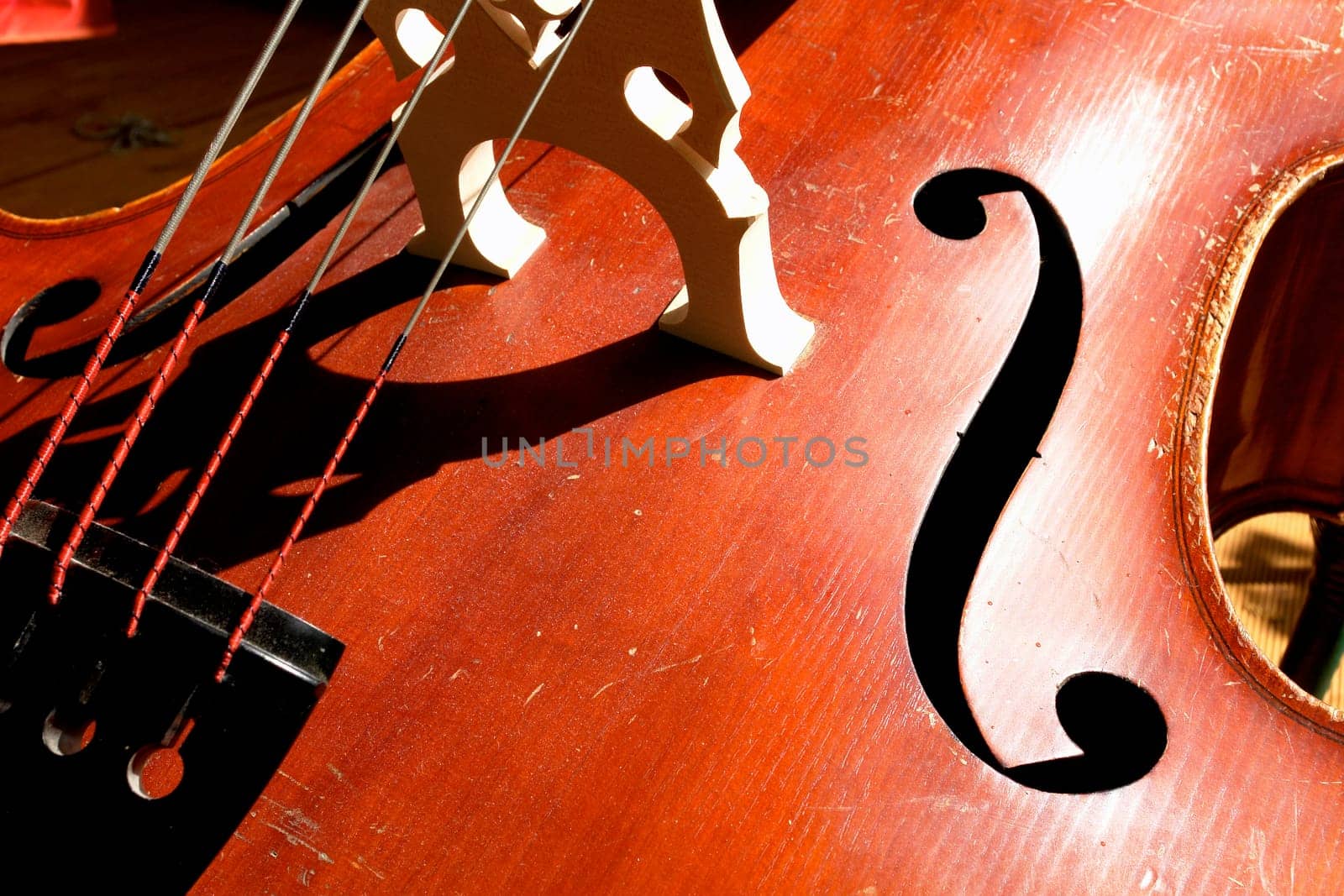 Bass5