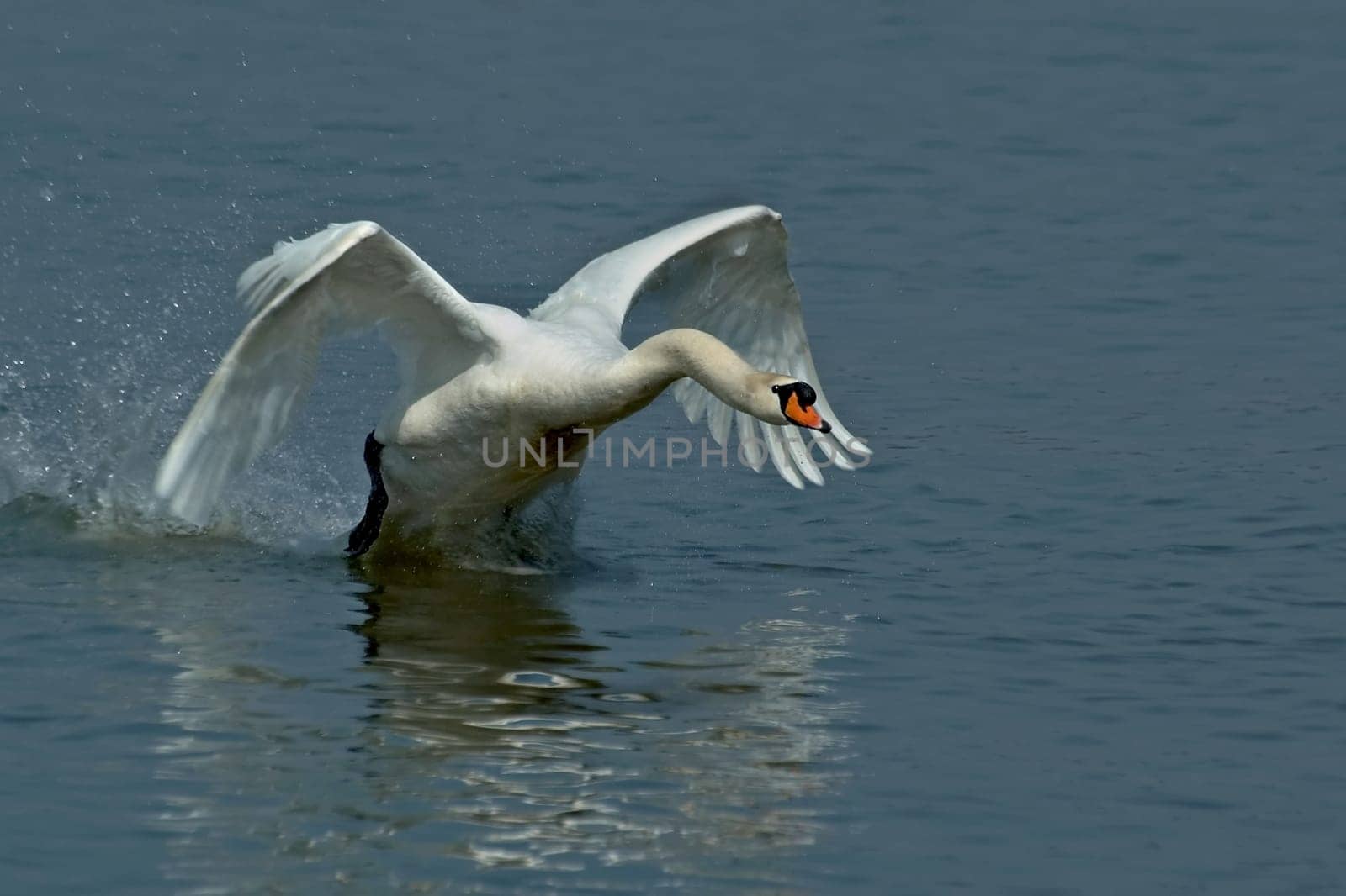 Landing manoeuvres (1)