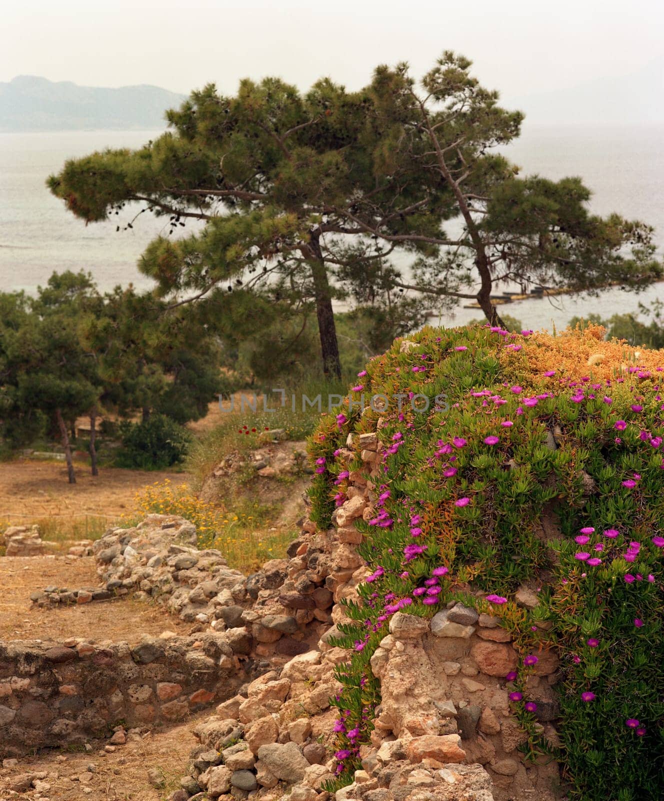 Remains of foundations of medieval fortifications on Aegina Colona - 6x7
