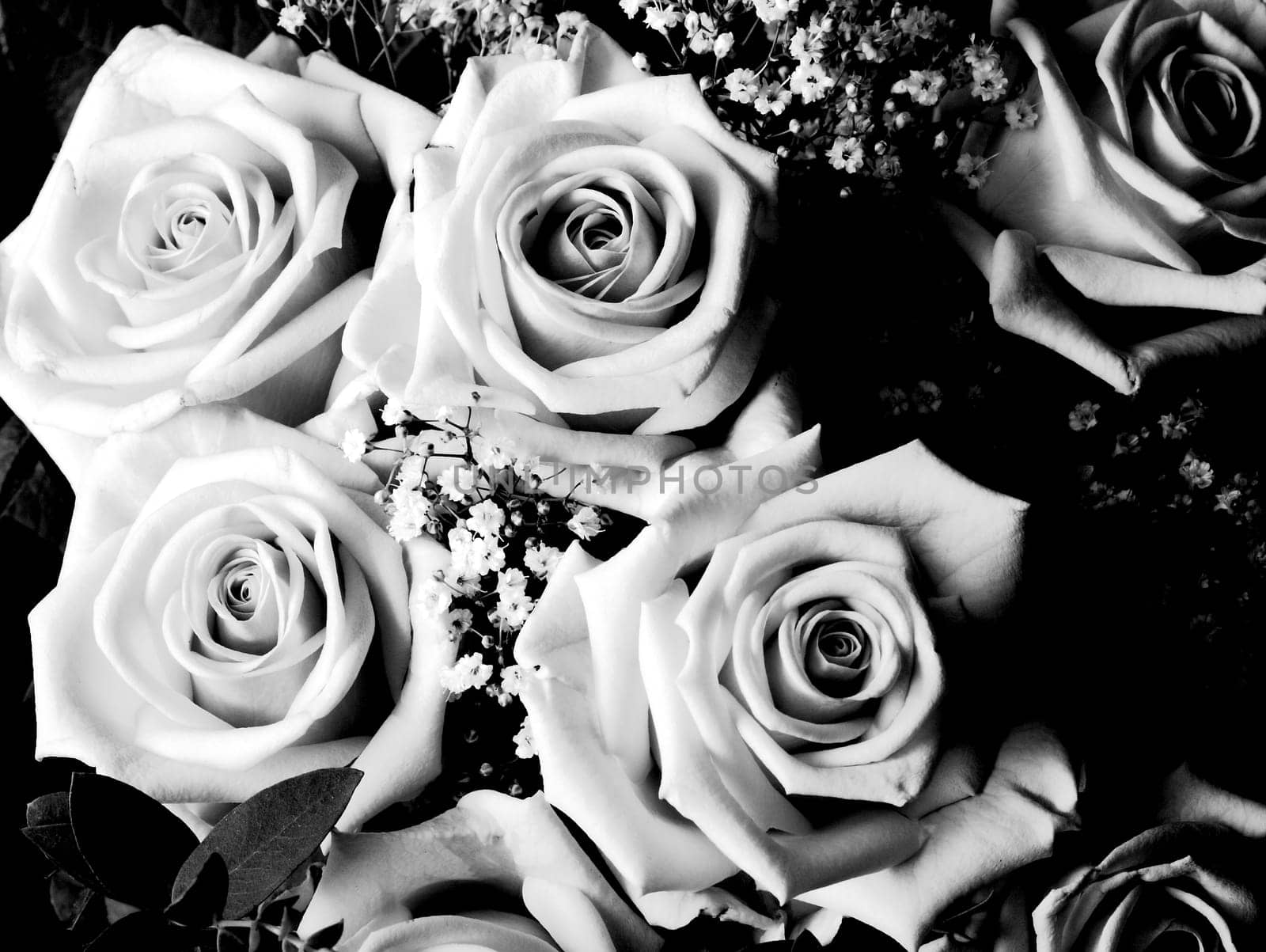 Bouquet of roses I