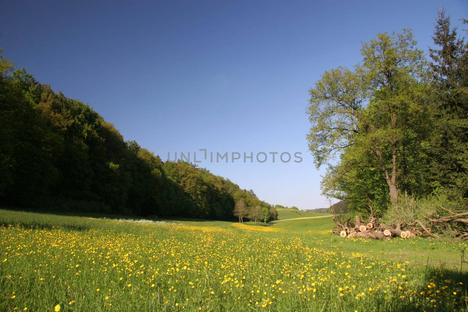 Pure nature