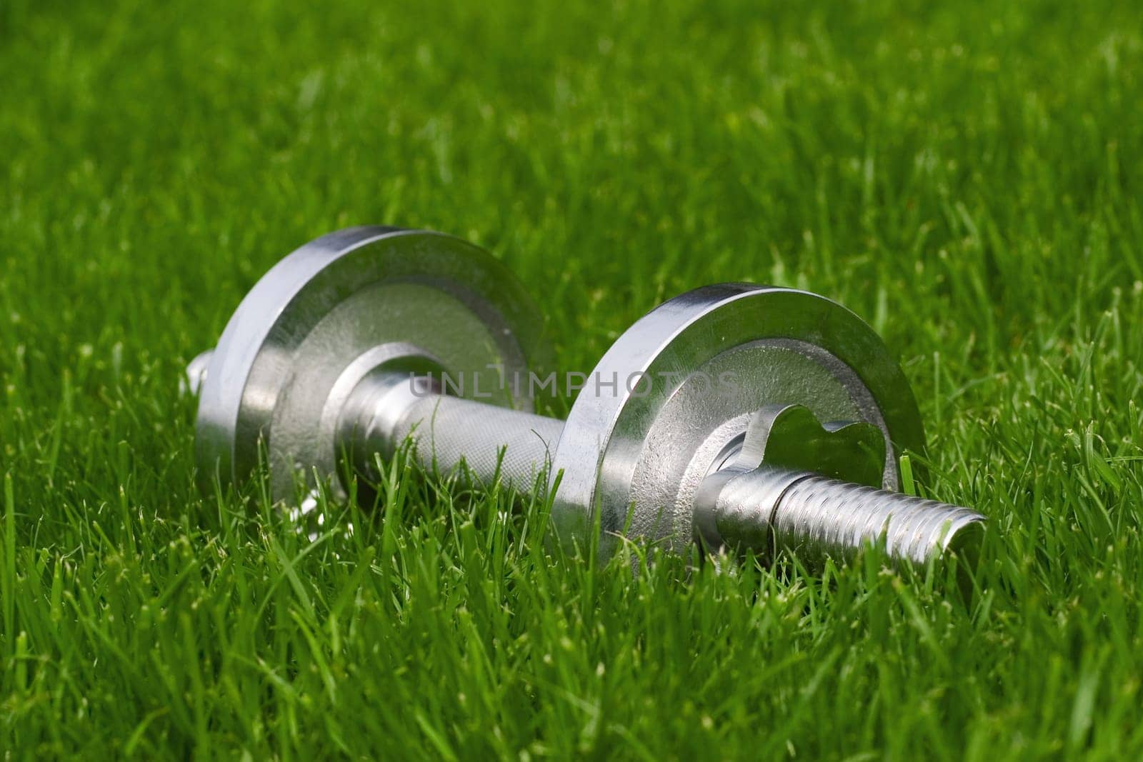 Dumbbell on meadow