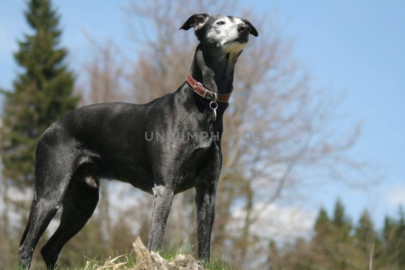 Sammy,at the top
