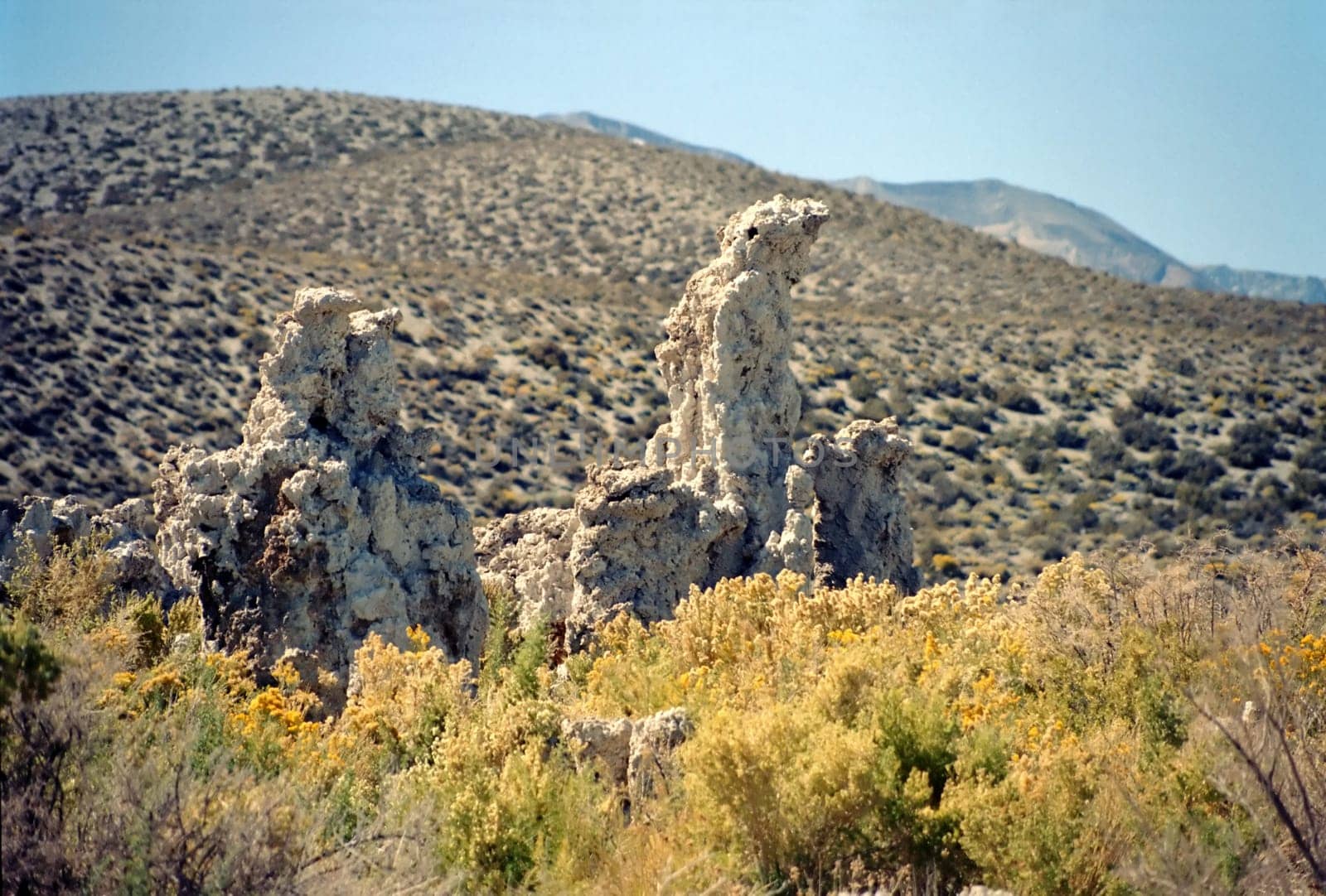 Lime statues
