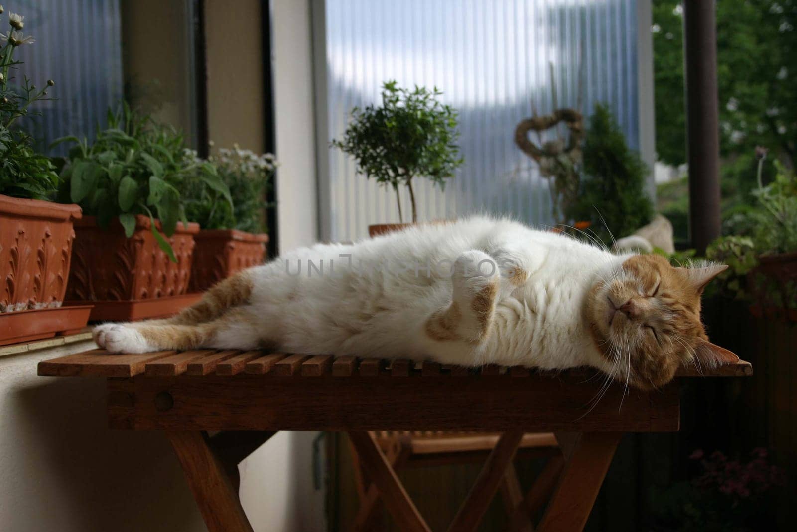 Sunbath