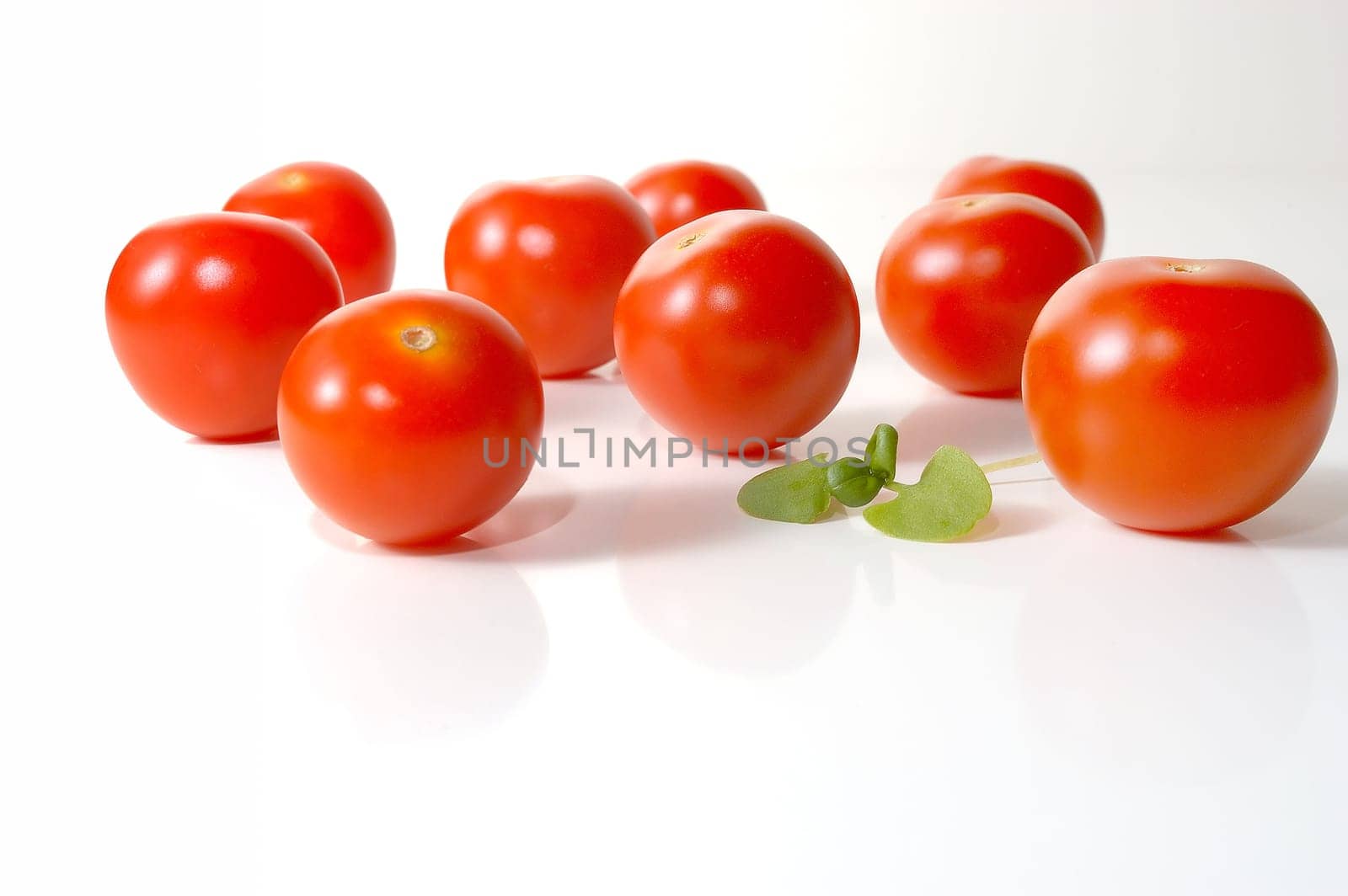 Tomatoes 01