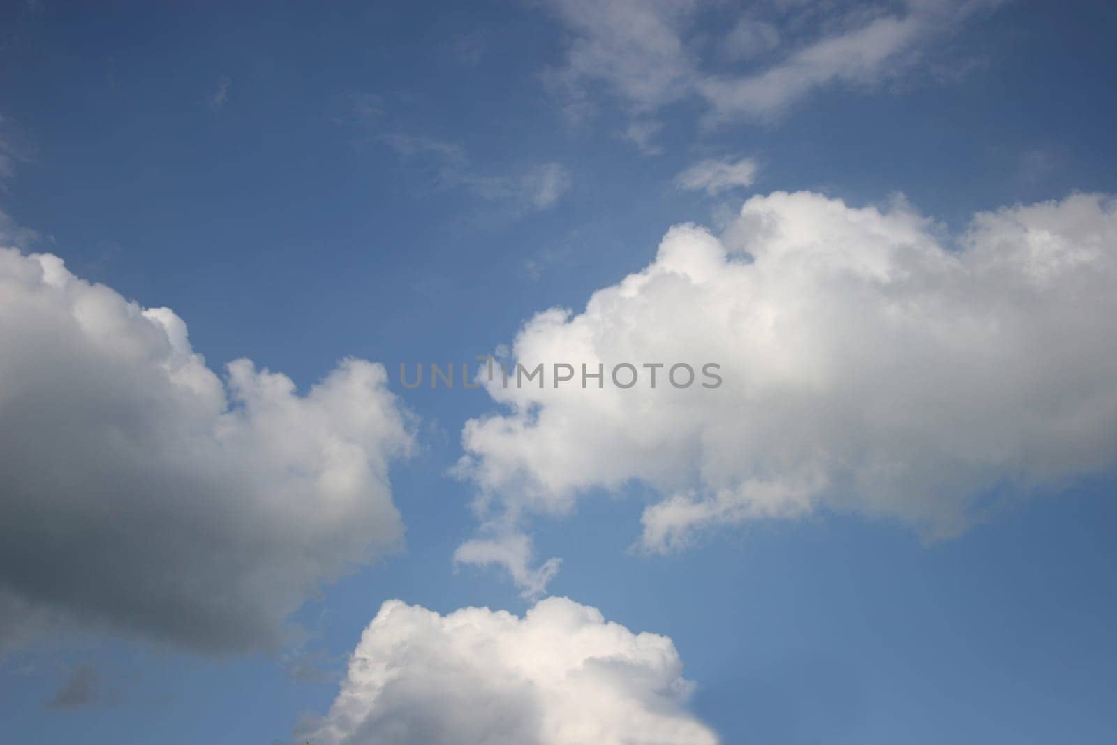 Wide Angle,Canon 20D