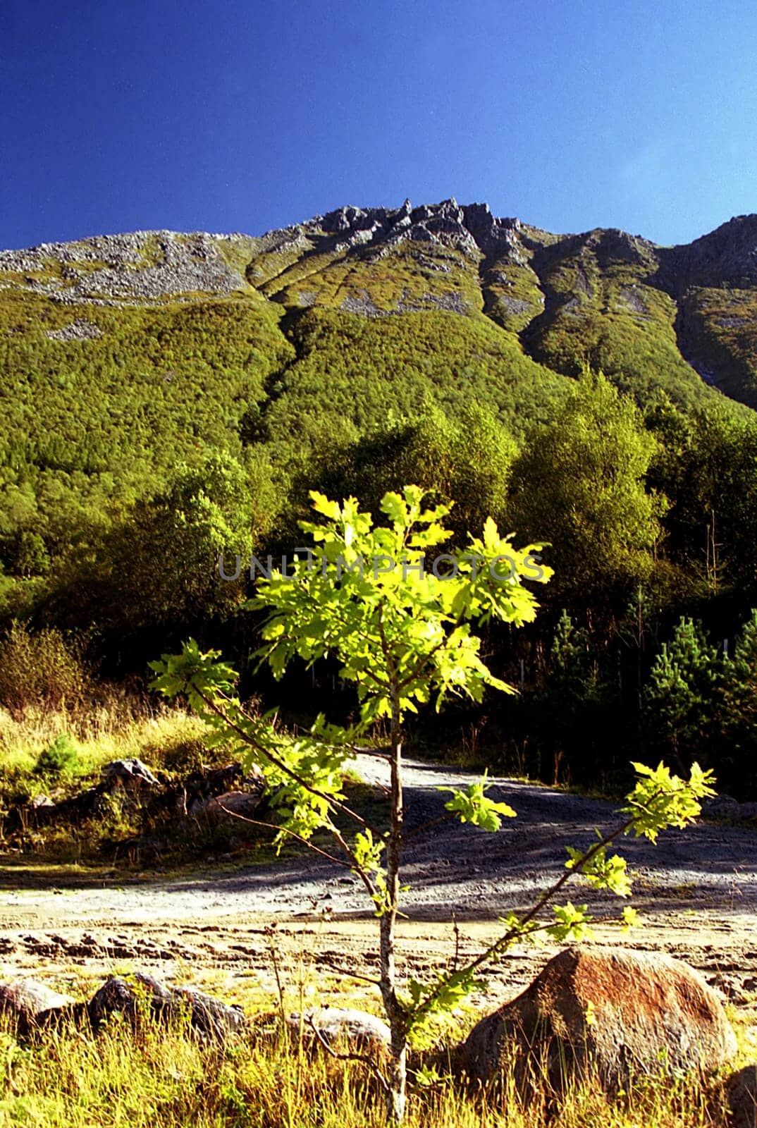 Scan of the negative holiday Norway 2003