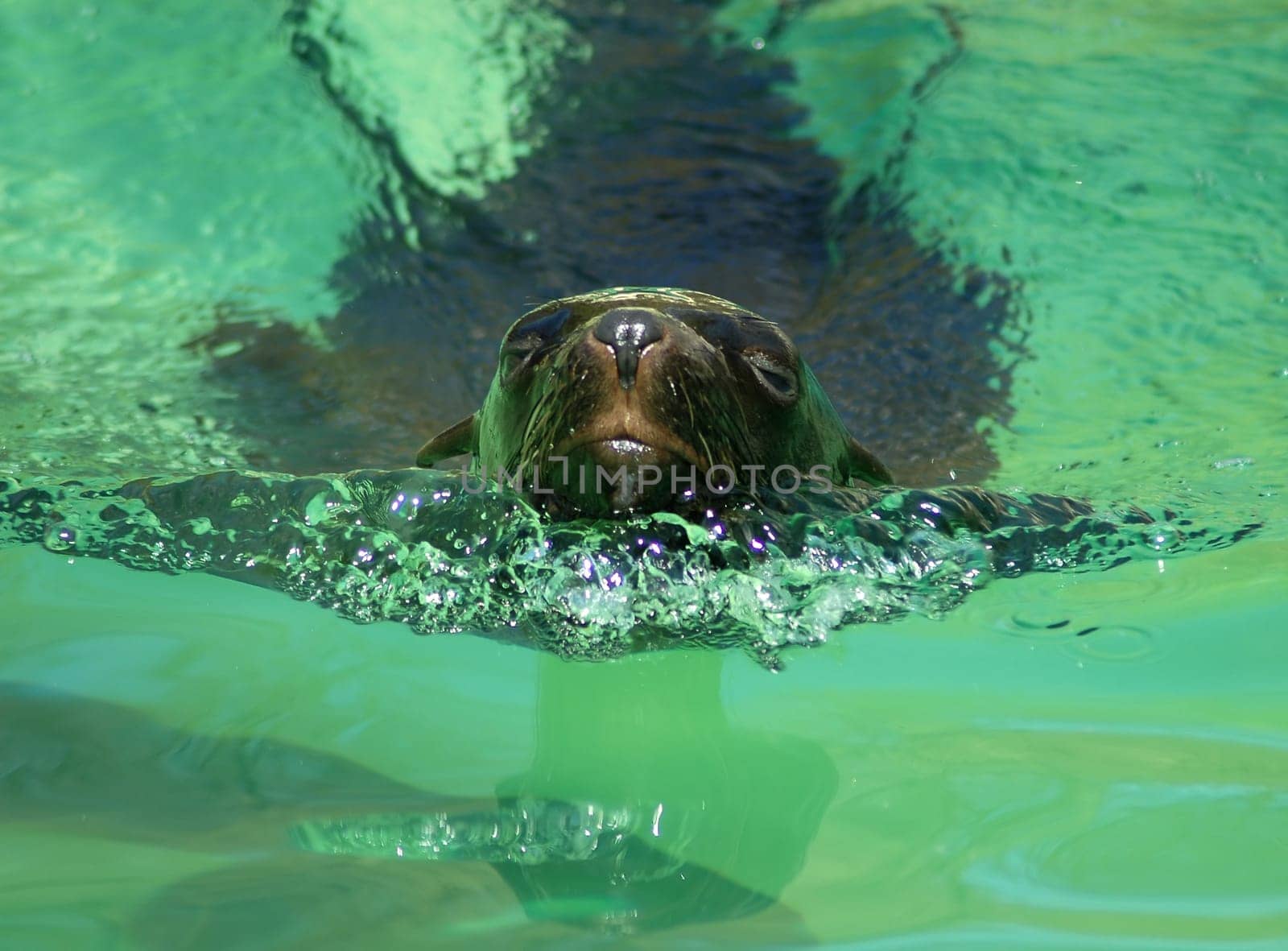 Swimming lessons
