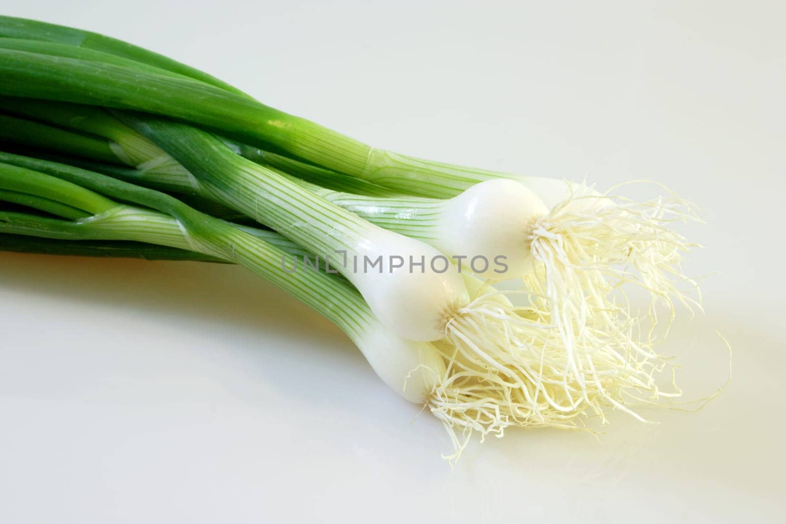 Spring onion